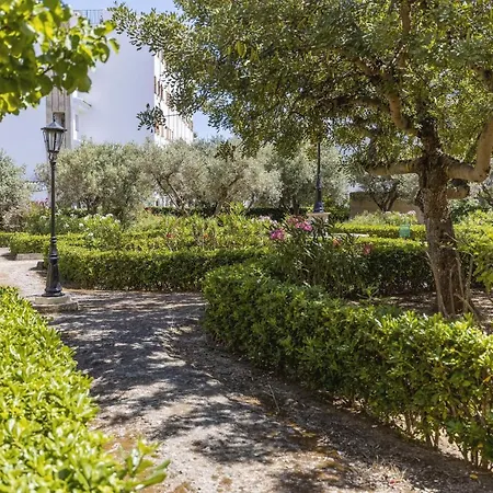 Apartmán Olivos